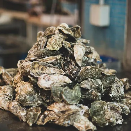 Apartament Donna Sofia House *