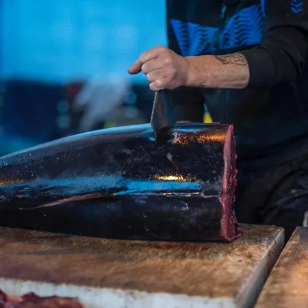 Appartamento Donna Sofia House *