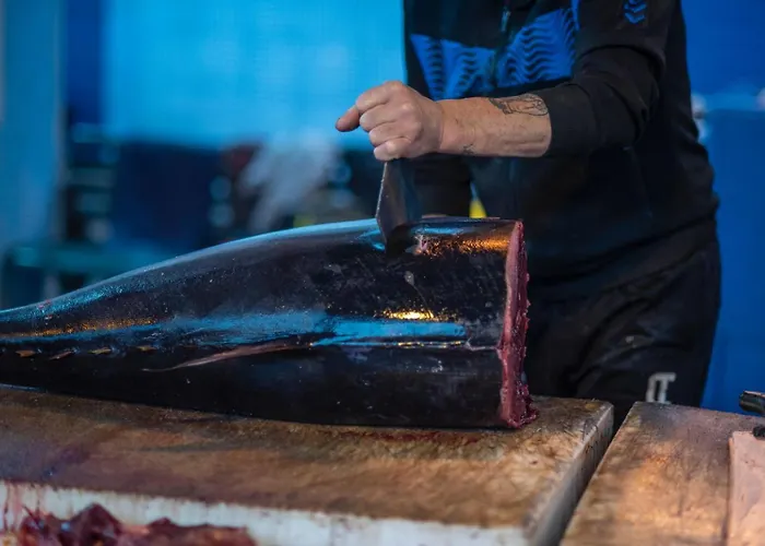 公寓 Donna Sofia House *