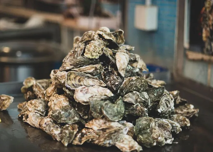 公寓 Donna Sofia House *